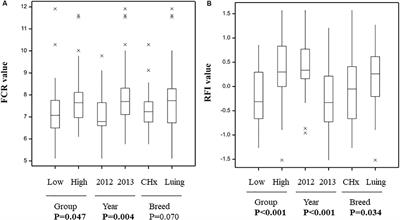 Identification of Microbial Genetic Capacities and Potential Mechanisms Within the Rumen Microbiome Explaining Differences in Beef Cattle Feed Efficiency